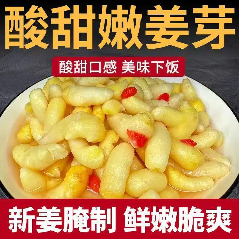 当季嫩姜芽小咸菜枸杞泡嫩生姜新鲜咸味嫩姜芽咸口腌制糖醋嫩姜芽