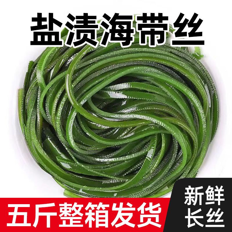 纯天然优质盐渍海带丝当季新货非干货鲜嫩厚长丝凉拌打火锅商用