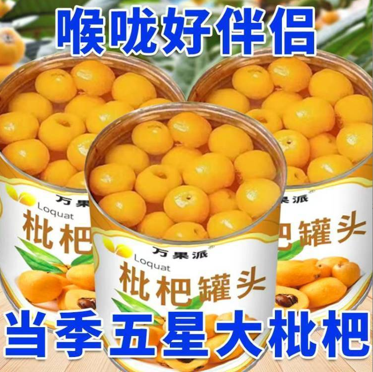 【当季爆款】312铁罐枇杷罐头 固形物百分之45