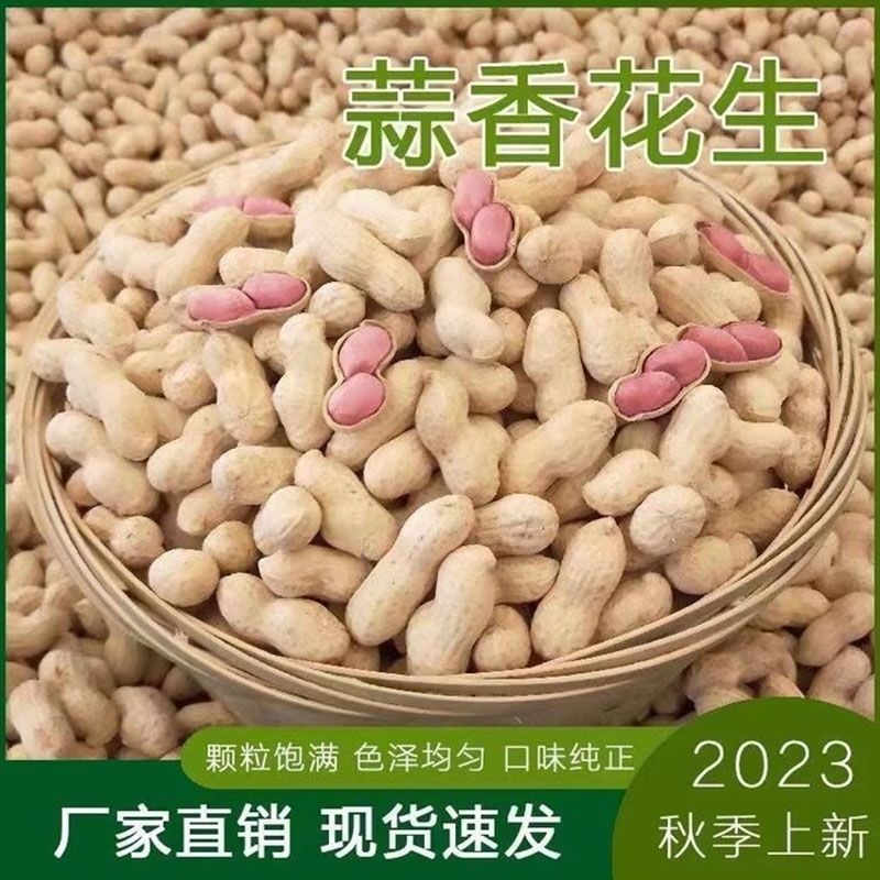 【不包售后】蒜香花生蒜香味花生