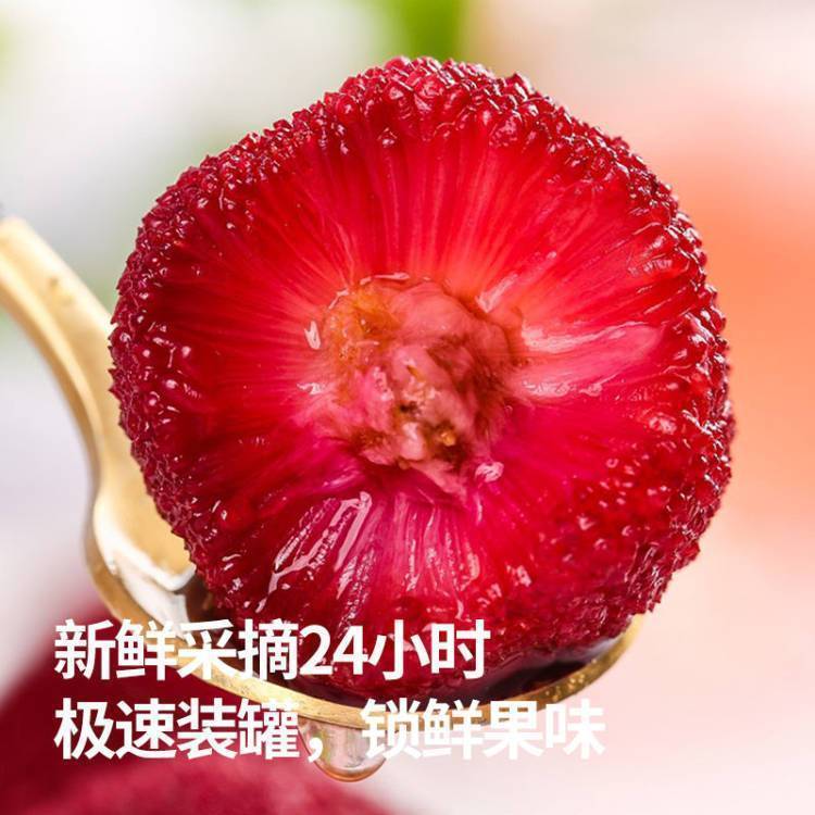 220克杨梅罐头铁罐杨梅整箱新鲜水果罐头【冲量来谈】