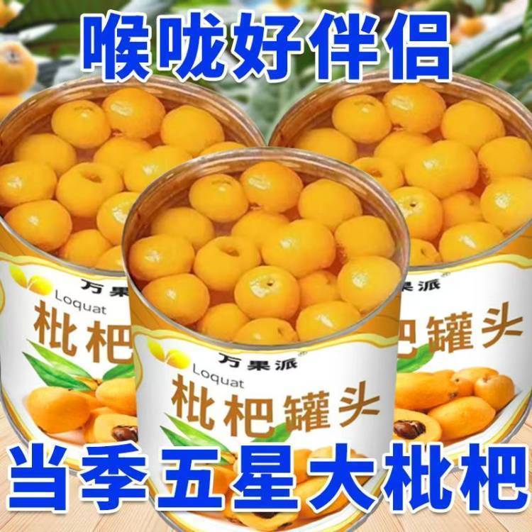 【当季爆款】312铁罐枇杷罐头 固形物百分之45